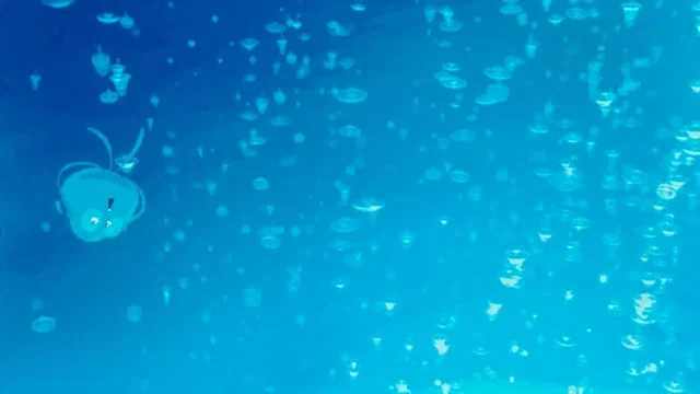 Photo du film : Gloups ! (je suis un poisson)