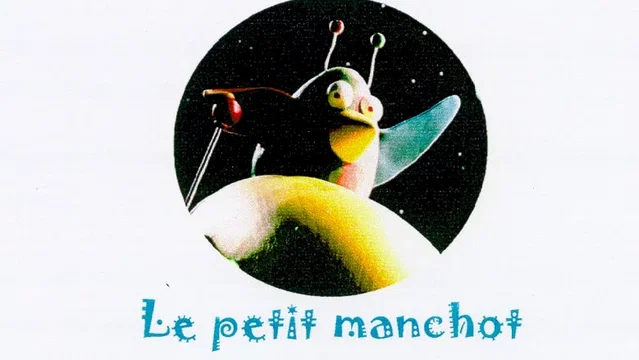 Affiche du film : Le petit manchot