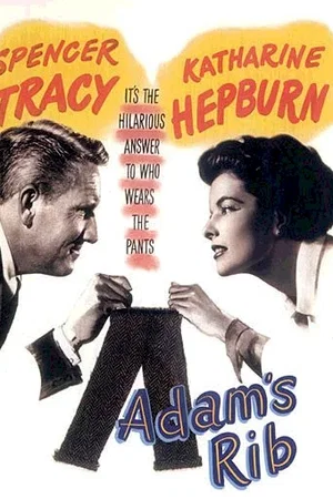 Photo du film : Madame porte la culotte