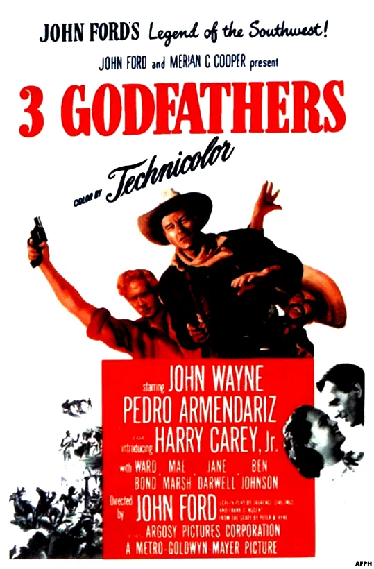Affiche du film : Le fils du desert