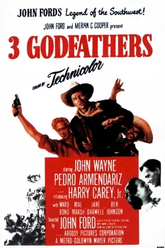 Affiche du film Le fils du desert