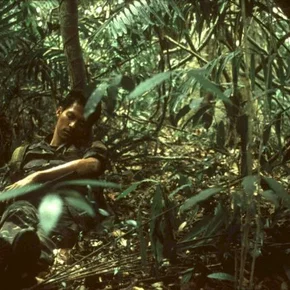 Photo du film : Tropical malady