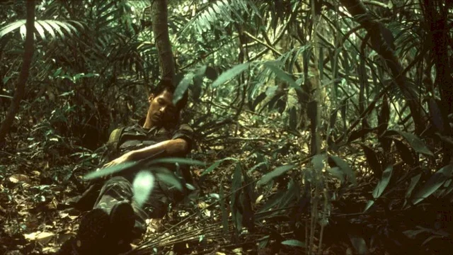 Photo 3 du film : Tropical malady