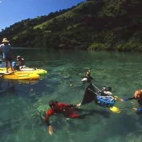 Photo du film : Recifs coralliens