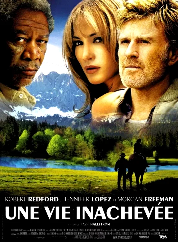 Affiche du film : Une vie inachevée