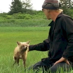 Photo du film : Grizzly man