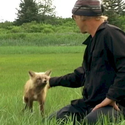 Miniature photo du film : Grizzly man