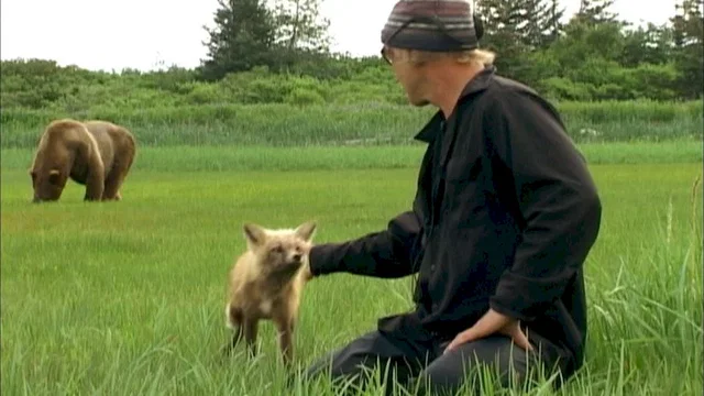 Photo 2 du film : Grizzly man