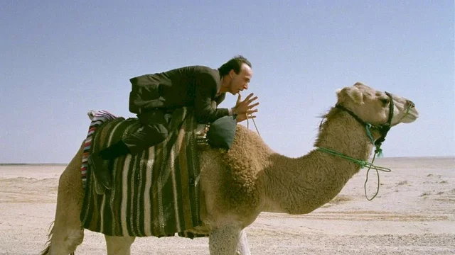 Photo du film : Le tigre et la neige