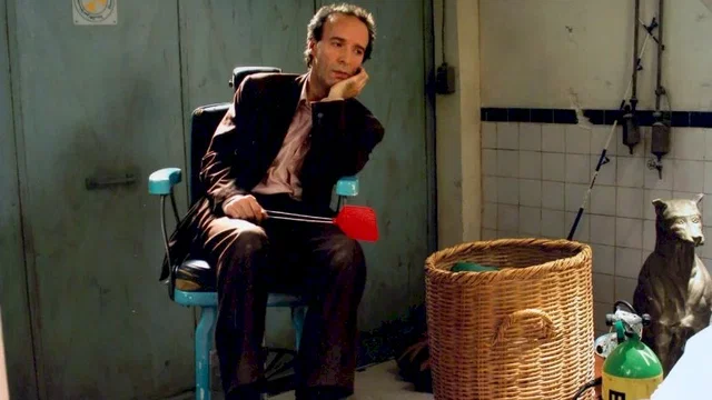Photo du film : Le tigre et la neige