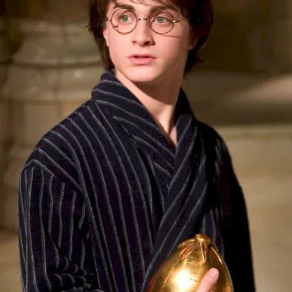 Miniature photo du film : Harry Potter et la coupe de feu