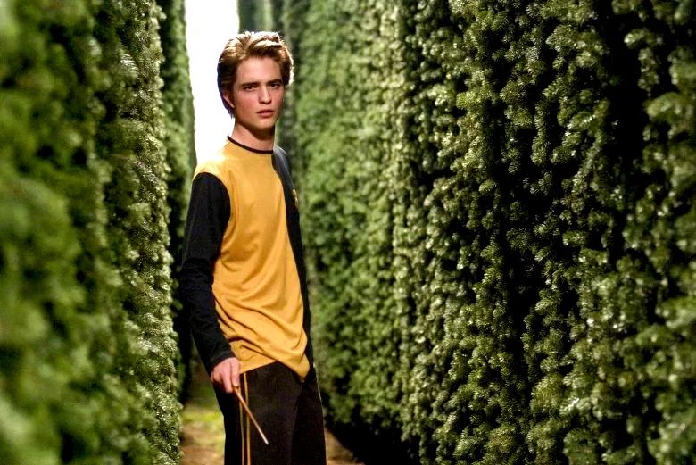 Photo 14 du film : Harry Potter et la coupe de feu
