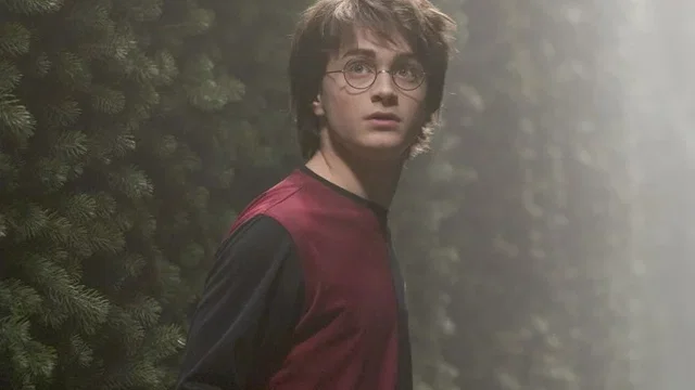 Photo 18 du film : Harry Potter et la coupe de feu