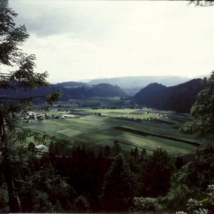 Miniature photo du film : Bataille dans le ciel