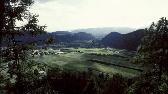 Photo 12 du film : Bataille dans le ciel