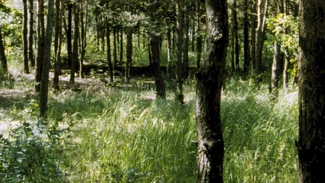 Photo 8 du film : Belzec