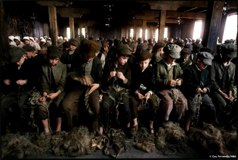 Photo 8 du film : Oliver Twist