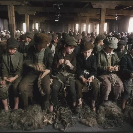 Miniature photo du film : Oliver Twist