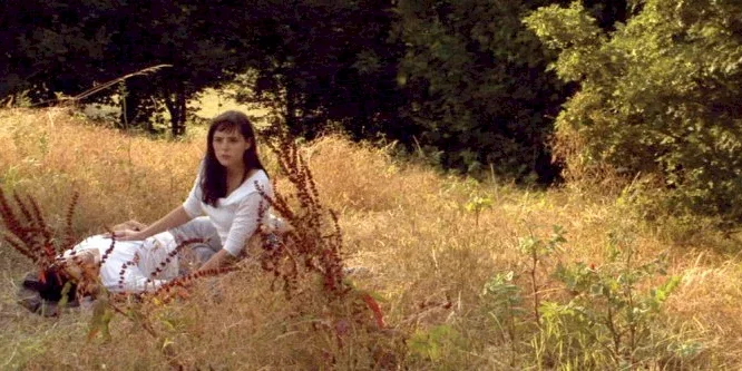 Photo 7 du film : A travers la foret