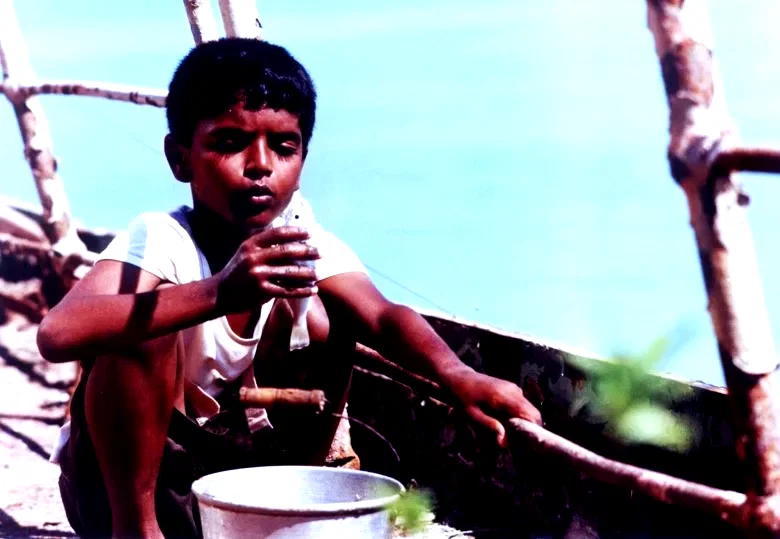 Photo 3 du film : La vie sur l'eau