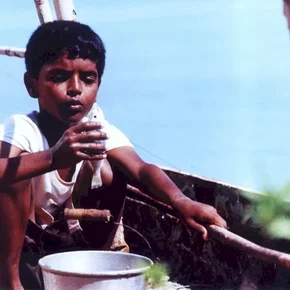 Photo du film : La vie sur l'eau