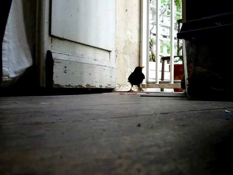 Photo du film : Le filmeur