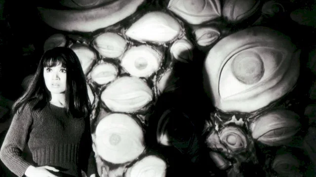 Photo 10 du film : La Bête aveugle