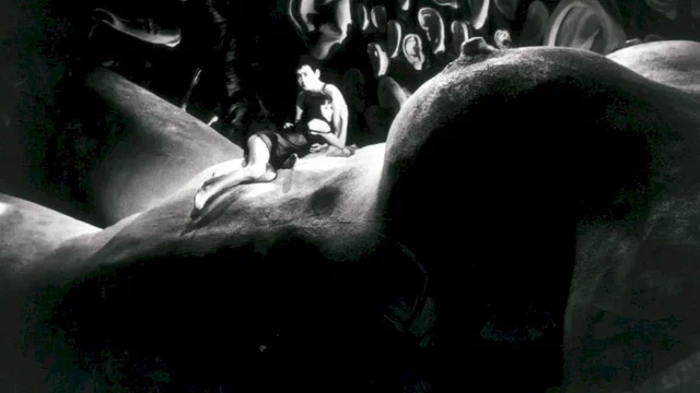 Photo 14 du film : La Bête aveugle
