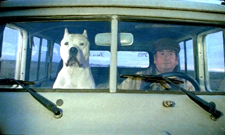 Photo 7 du film : Bombon el perro