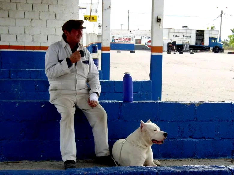 Photo 18 du film : Bombon el perro