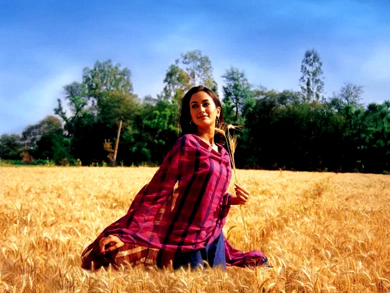 Photo 5 du film : Swades