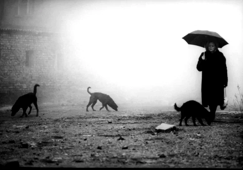 Photo 5 du film : Damnation