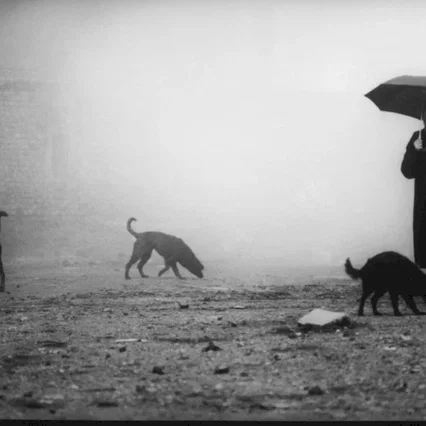 Miniature photo du film : Damnation
