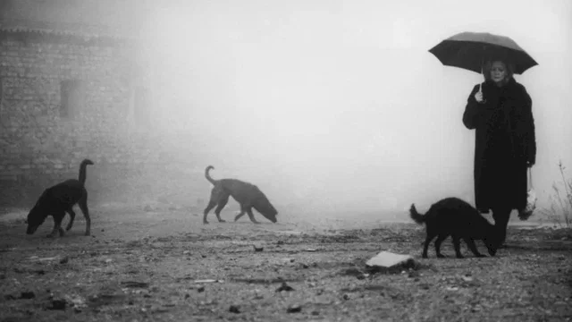 Photo du film : Damnation
