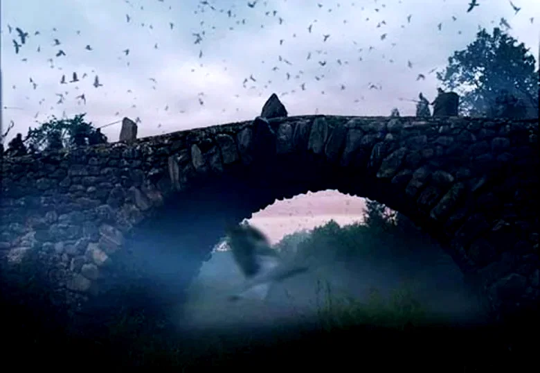 Photo 5 du film : Night watch
