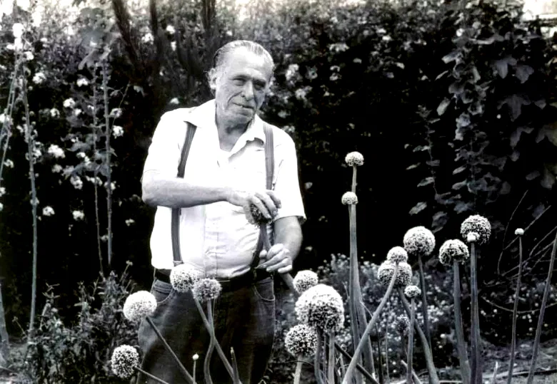 Photo 4 du film : Bukowski