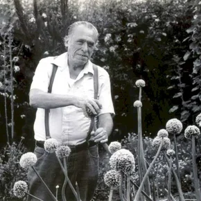 Photo du film : Bukowski