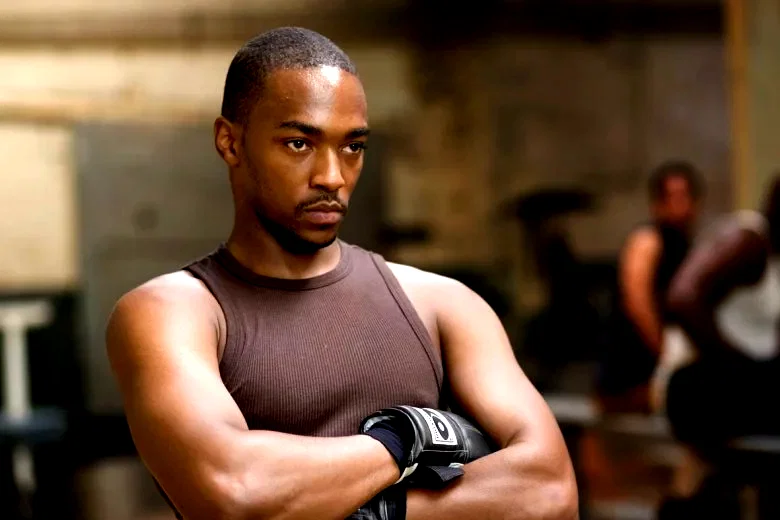 Photo 12 du film : Million Dollar Baby
