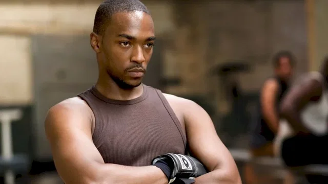 Photo 12 du film : Million Dollar Baby