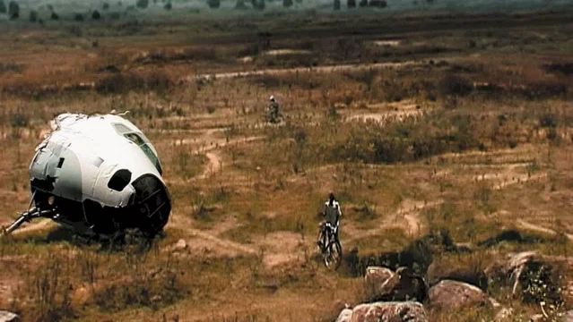 Photo 5 du film : Le Cauchemar de Darwin 
