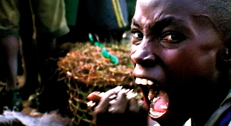 Photo 9 du film : Le Cauchemar de Darwin 