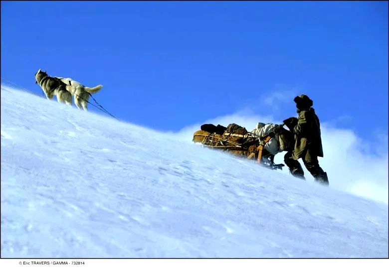Photo 6 du film : Le dernier trappeur