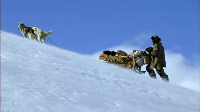 Photo 6 du film : Le dernier trappeur