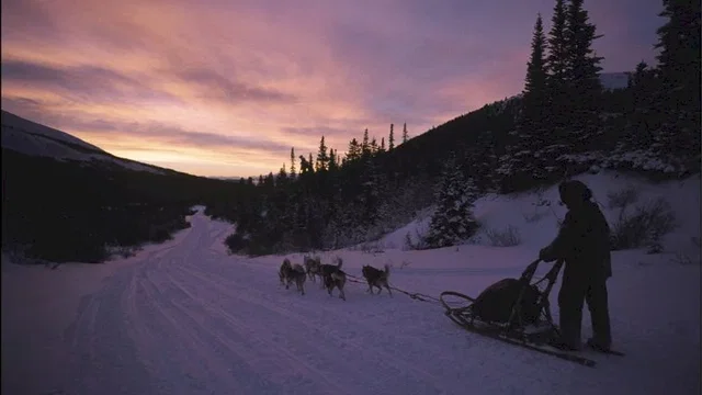 Photo 8 du film : Le dernier trappeur