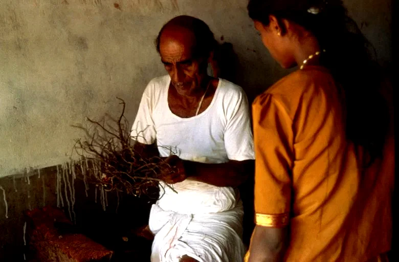 Photo 8 du film : Ayurveda