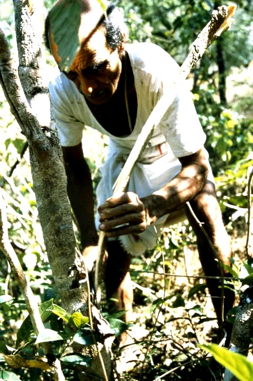 Photo 9 du film : Ayurveda