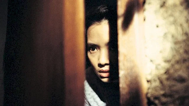 Photo du film : Goodbye, dragon inn