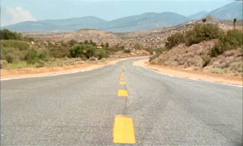Photo 5 du film : The Brown Bunny