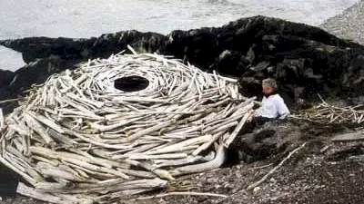 Photo 6 du film : Rivers and tides