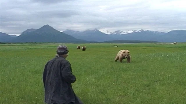 Photo 4 du film : Grizzly man